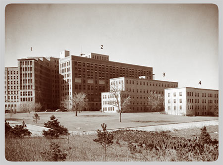 The University Main Building